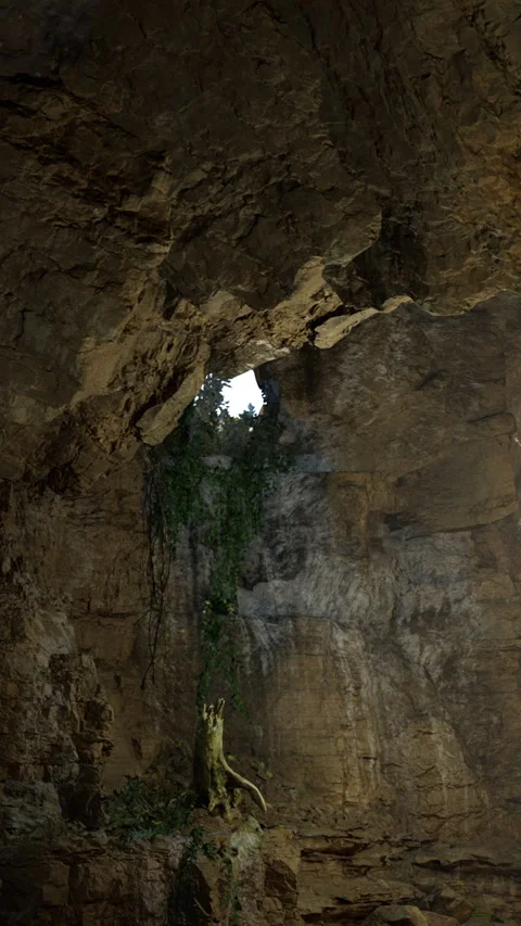 Exploring a cave with natural light and green plants in the background Stock Footage 331709746