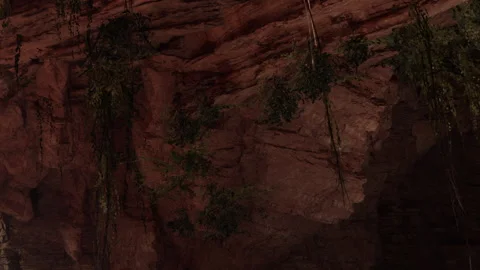 Exploring a cave with rock formations and hanging plants in natural setting Stock Footage 338323483