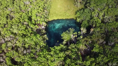 Exploring Cenote Corazón: A Breathtaking Aerial View of Tulum's Hidden Paradise Stock Footage 223951277