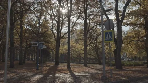 Exploring city park in Estonia during fall Video stock 219859235