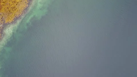 Exploring the clear water of a lake with nature around Stock Footage 340503082