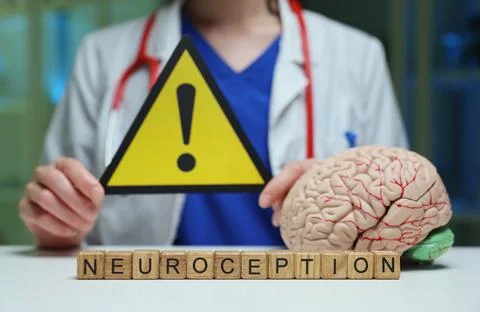 Exploring the concept of Neuroception a crucial system in the brain that manages Stock Photos