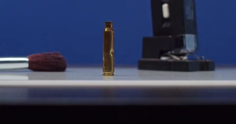 Exploring the Contrasting Elements of Beauty and Danger within a Creative Stock Footage 297694111