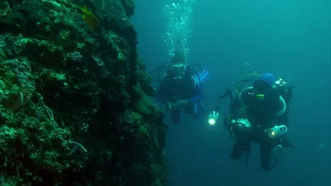Exploring a Coral Reef With Underwater Lights in Curacao Stockbeeldmateriaal 321062138