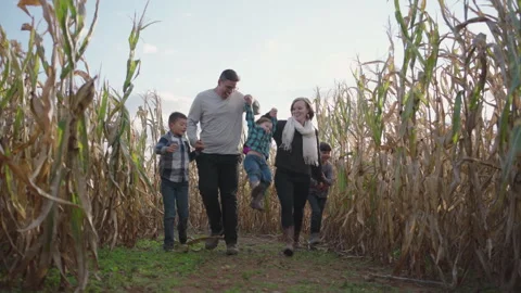 Exploring cornfield farm happy fun with family on a sunny day Stock Footage 319923754