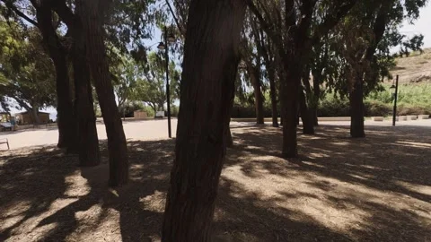Exploring the Costa Blanca coastline in Benidorm under the trees and natural Stock Footage 346017401