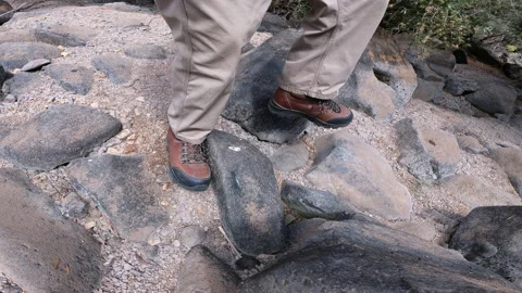 Exploring the Creek bed Stock Footage 145655676