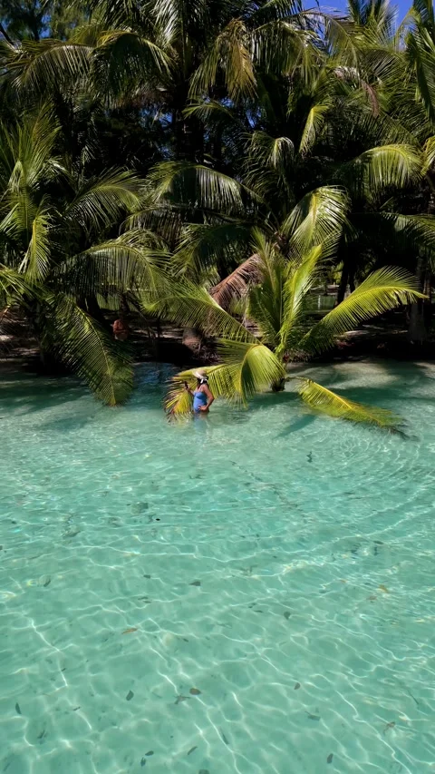 Exploring the crystal-clear waters of Koh Kood in Thailands tropical paradise Vídeos de archivo 337372960