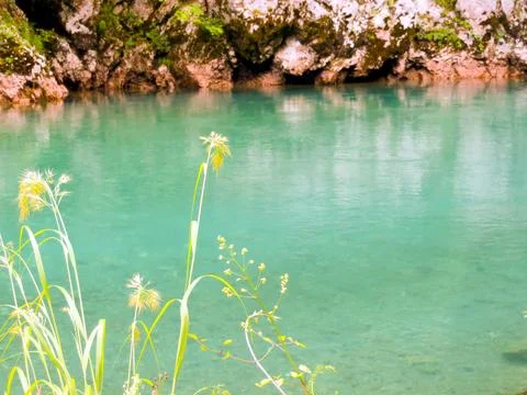 Exploring the Crystal Clear Waters of Tara River Canyon in Montenegro Stock Photos