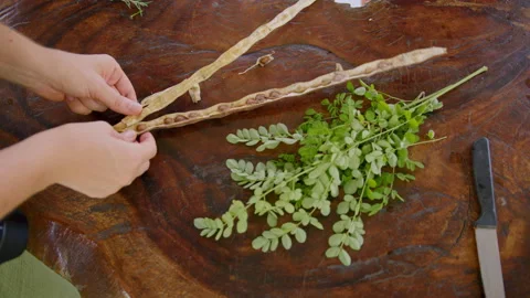 Exploring culinary herbs and ingredients with hands-on preparation in a kitchen Stock Footage 301572739