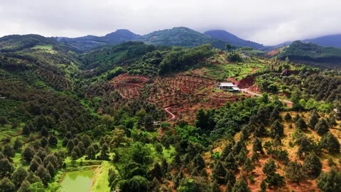 Exploring Da Huoai 3 in Lam Dong Vietnam with stunning views and nature 库存影片 341460620