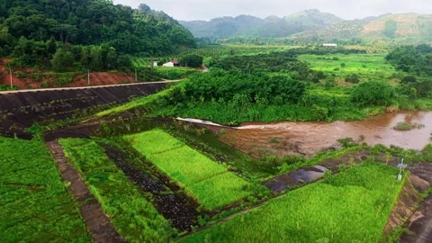 Exploring Da Lay Irrigation Reservoir with lush scenery in Lam Dong, Vietnam Stockbeeldmateriaal 348196931