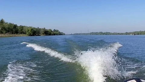 Exploring Danube Delta With A Boat,Slow Motion Stock Footage 79145089