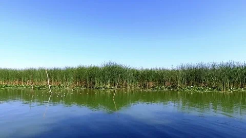 Exploring Danube Delta On A Sunny Day Stock Footage 79256648