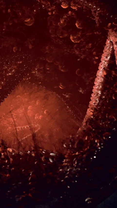 Exploring a dark alien world of strange shapes and textures Stock Footage 329940381