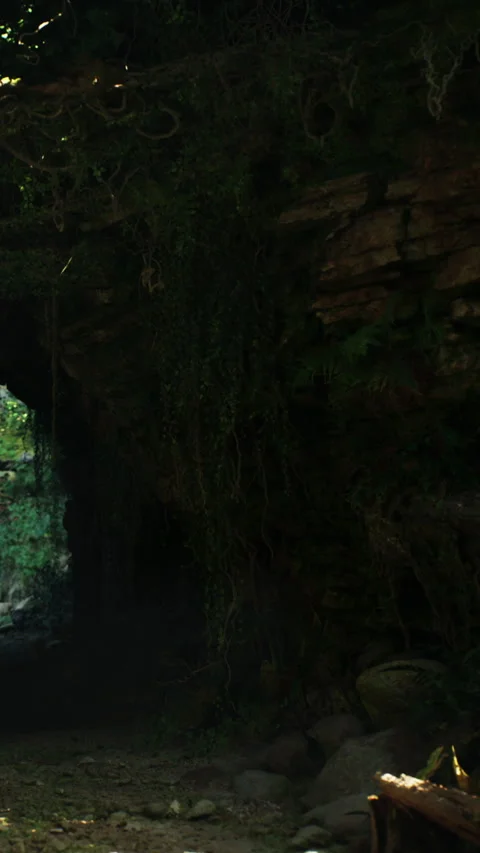 Exploring a dark cave with green vegetation at the entrance in the daytime Stock Footage 340640139