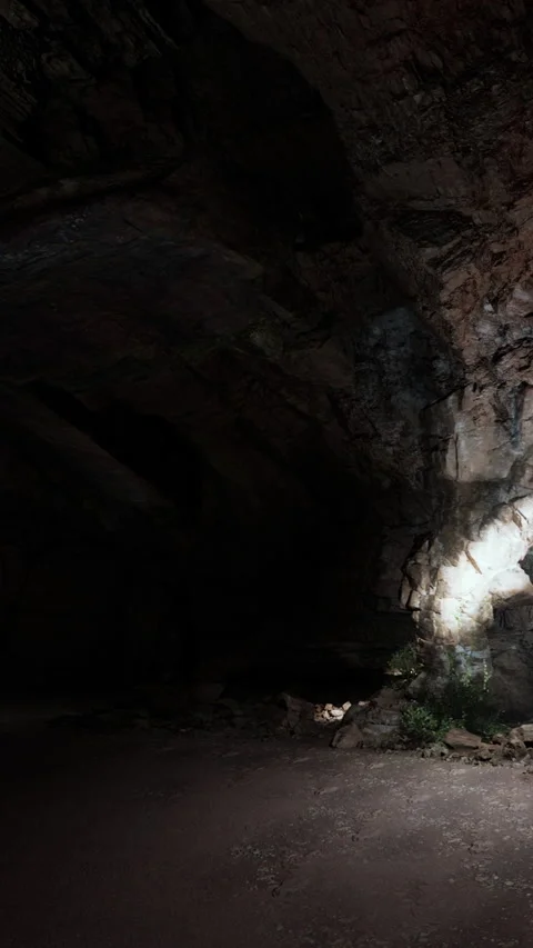 Exploring a dark cave with rock formations and a small plant in light Stock Footage 340880175