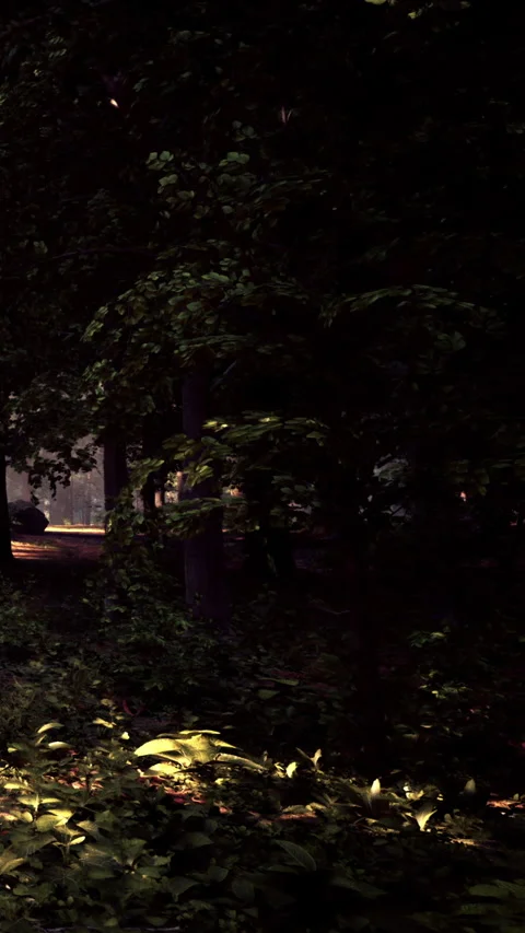 Exploring a dark forest path during nighttime near a town Stock Footage 339509888