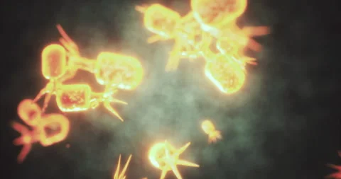 Exploring the dazzling world of micro organisms glowing in the dark Stock Footage 318606936
