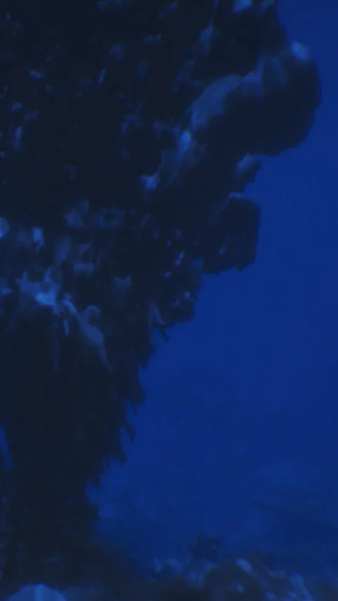 Exploring the deep blue ocean and its mysterious underwater formations Stock Footage 331836045