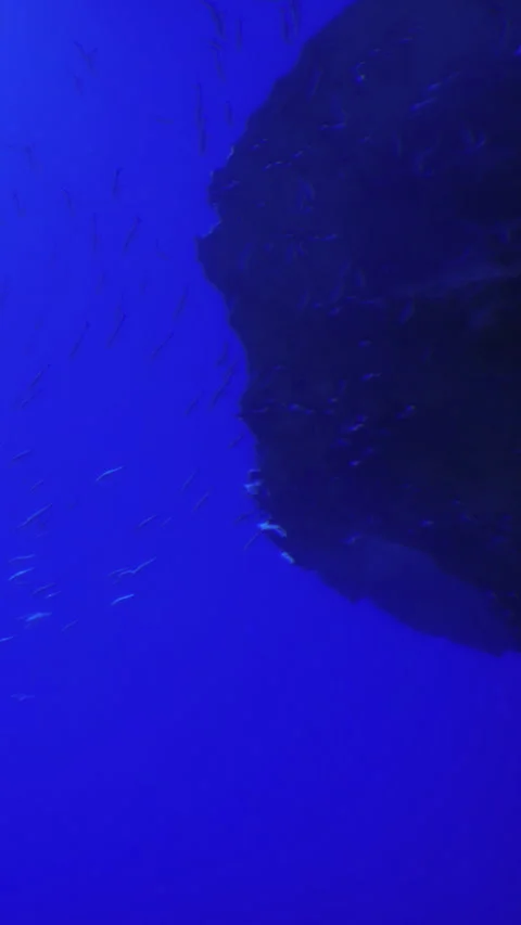 Exploring the deep sea near a dark underwater rock formation Stock Footage 331767159