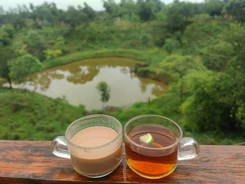 Exploring the Delectable World of Beverages beneath the Canopy Stock Photos