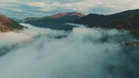 Exploring dense fog enveloping the mountain valley at dawn Stock Footage 307112379