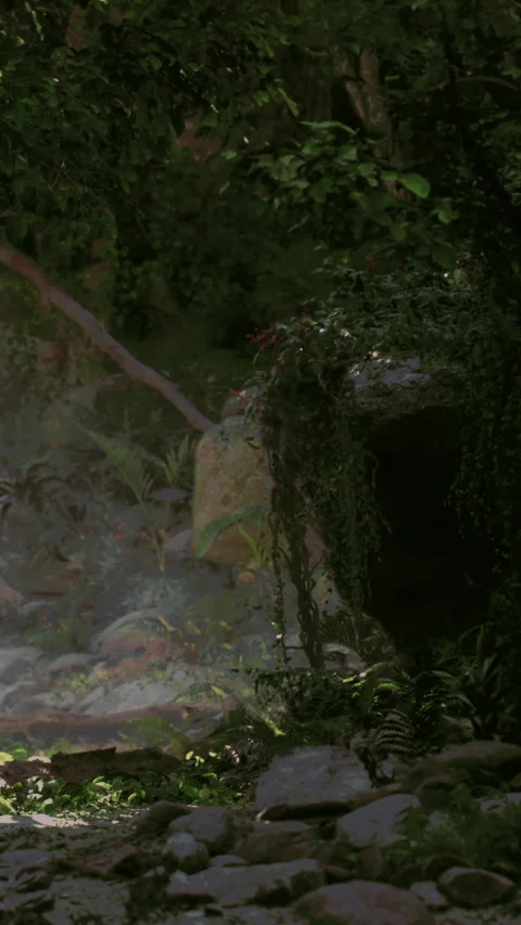 Exploring a dense forest with lush greenery and hidden cave entrance Stock Footage 340645629