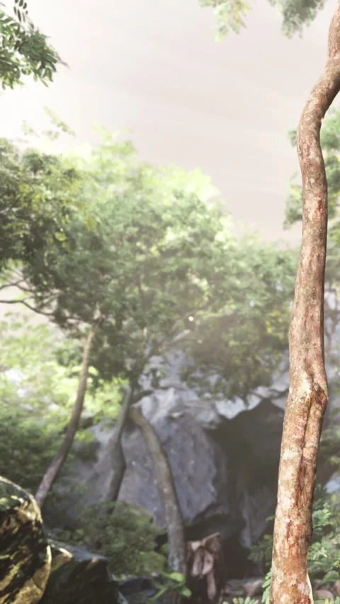 Exploring a dense forest near a cave entrance on a cloudy day in nature Stock Footage 342171054