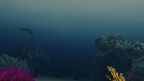 Exploring the depths of the sea. make diving. 3d animation of a coral reef Video stock 281295480