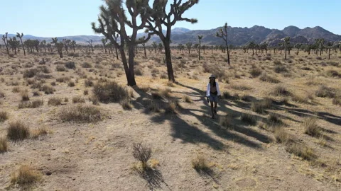 Exploring desert landscapes and awe-inspiring altitudes in nature Stock-Footage 312671707