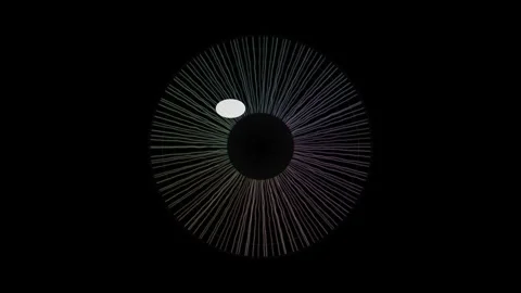 Exploring the design of a circular pattern with radial lines Stock Footage 337072397