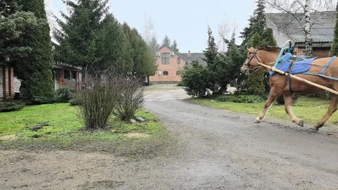Exploring a dirt path through a rural area with trees and country houses during Stock Footage 329906506