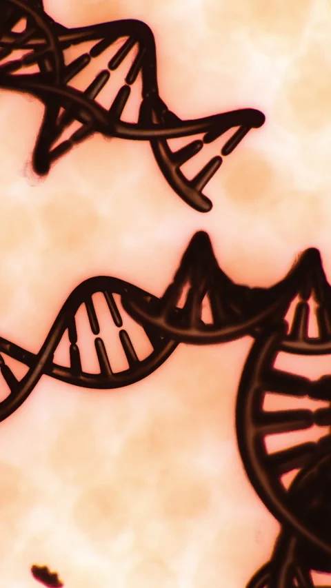 Exploring DNA structure with detailed view of double helix strands Stock Footage 336174496