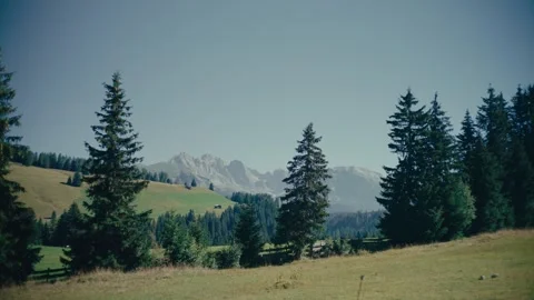 Exploring the Dolomites by Mountain Bike Through the Lush Alpine Meadows 库存影片 331166168