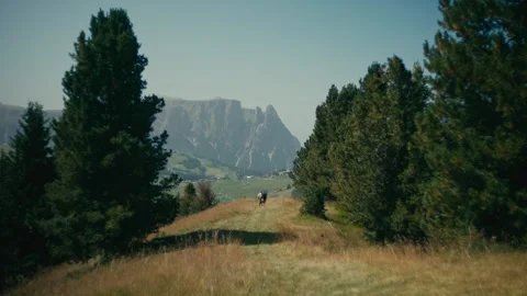 Exploring the Dolomites on a Mountain Trail with Stunning Alpine Views Vídeos de archivo 331166195