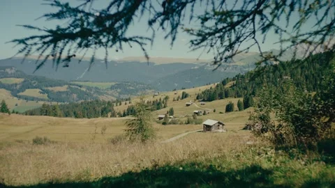 Exploring the Dolomites in a Picturesque Mountain Meadow During Daytime 库存影片 331166045