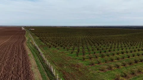 Exploring drone views of agricultural fields and orchards Video stock 321545462