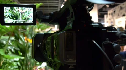 Exploring Dynamic Visual Capture at Photokina 2012 스톡 동영상 309045235