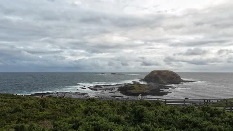 Exploring the Edge: A Walk Along The Nobbies, Phillip Island Video stock 276516217