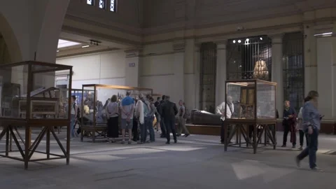 Exploring The Egyptian Museum in Cairo Stock Footage 270573190