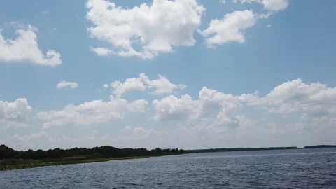 Exploring the Everglades: a Ride Through Nature Stock Footage 242639001