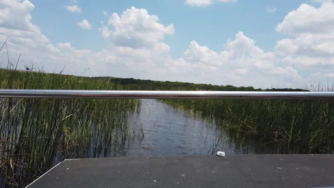 Exploring the Everglades: a Summer Tour Stock Footage 242642105