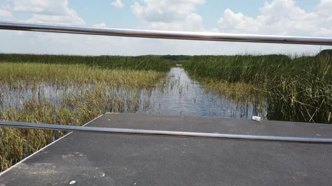 Exploring Floridas Everglades by Boat Stock Footage 242638652