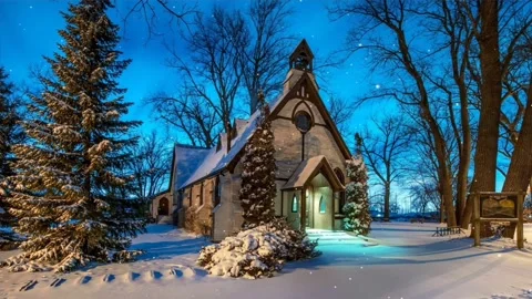 Exploring the Forest: Exploring the Wild Life Behind the Forest Depth Stock Footage 236793814