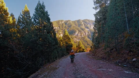 Exploring a forest trail in the Pyrenees mountains of Spain Stock Footage 300391511