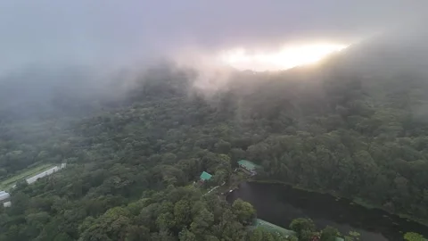 Exploring a forested area with mist and a lake at sunrise Stock Footage 338191077