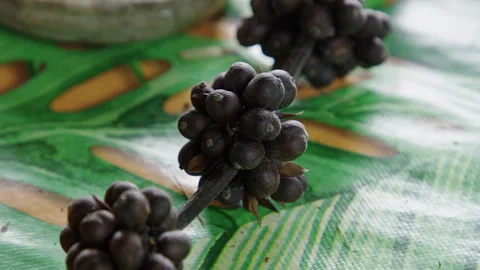 Exploring the fresh and vibrant coffee bean bowl fruit growth process Stock Footage 321393178