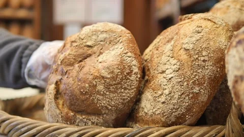 Exploring fresh bread in a local bakery Stock Footage 341456726