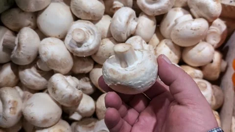 Exploring fresh produce and choosing quality mushrooms at a local market in the  Stock Footage 307774059